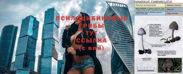 прущий лед Армянск