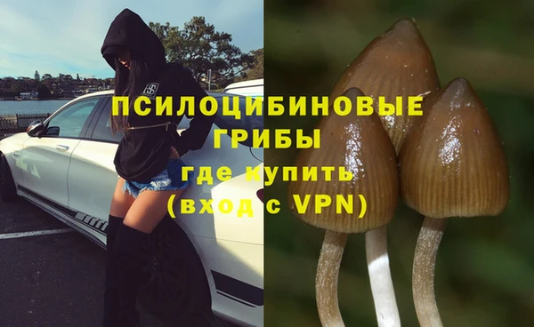 крисы Балабаново