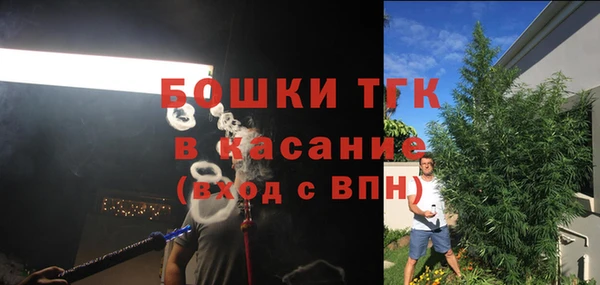 шишки Балахна